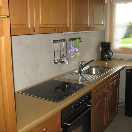 Apartment Haus Am Kreuzbuehl Dachsberg im Schwarzwald