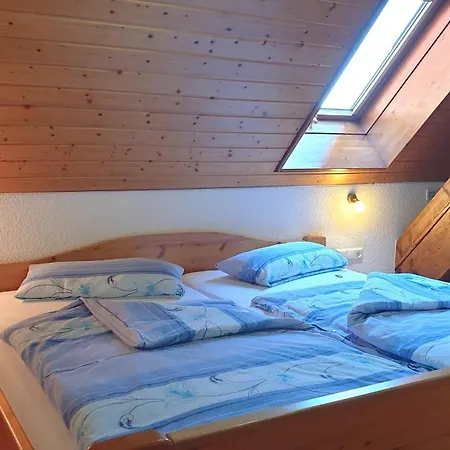 Apartment Haus Am Kreuzbuehl Dachsberg im Schwarzwald