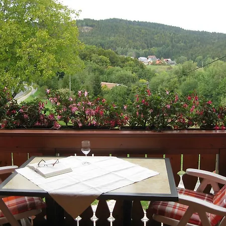 Haus Am Kreuzbuehl Dachsberg im Schwarzwald